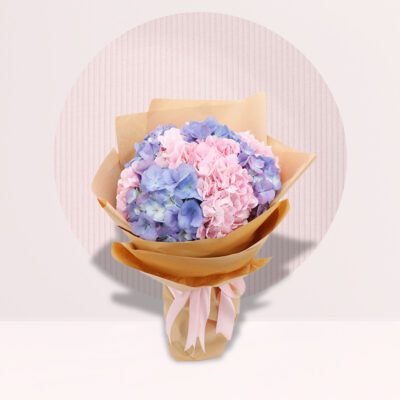 Beautiful Hydrangea