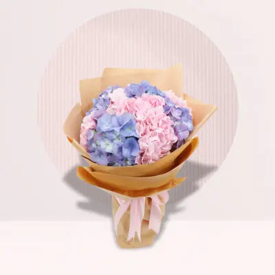 Beautiful Hydrangea