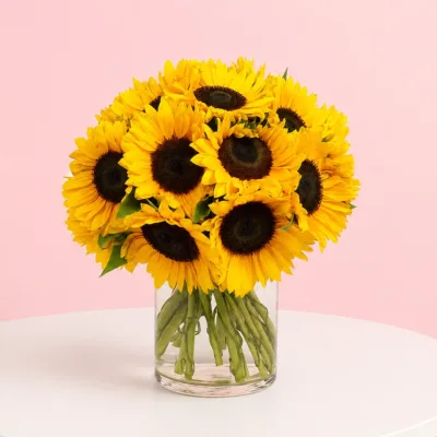 12 Sunflower in Vase