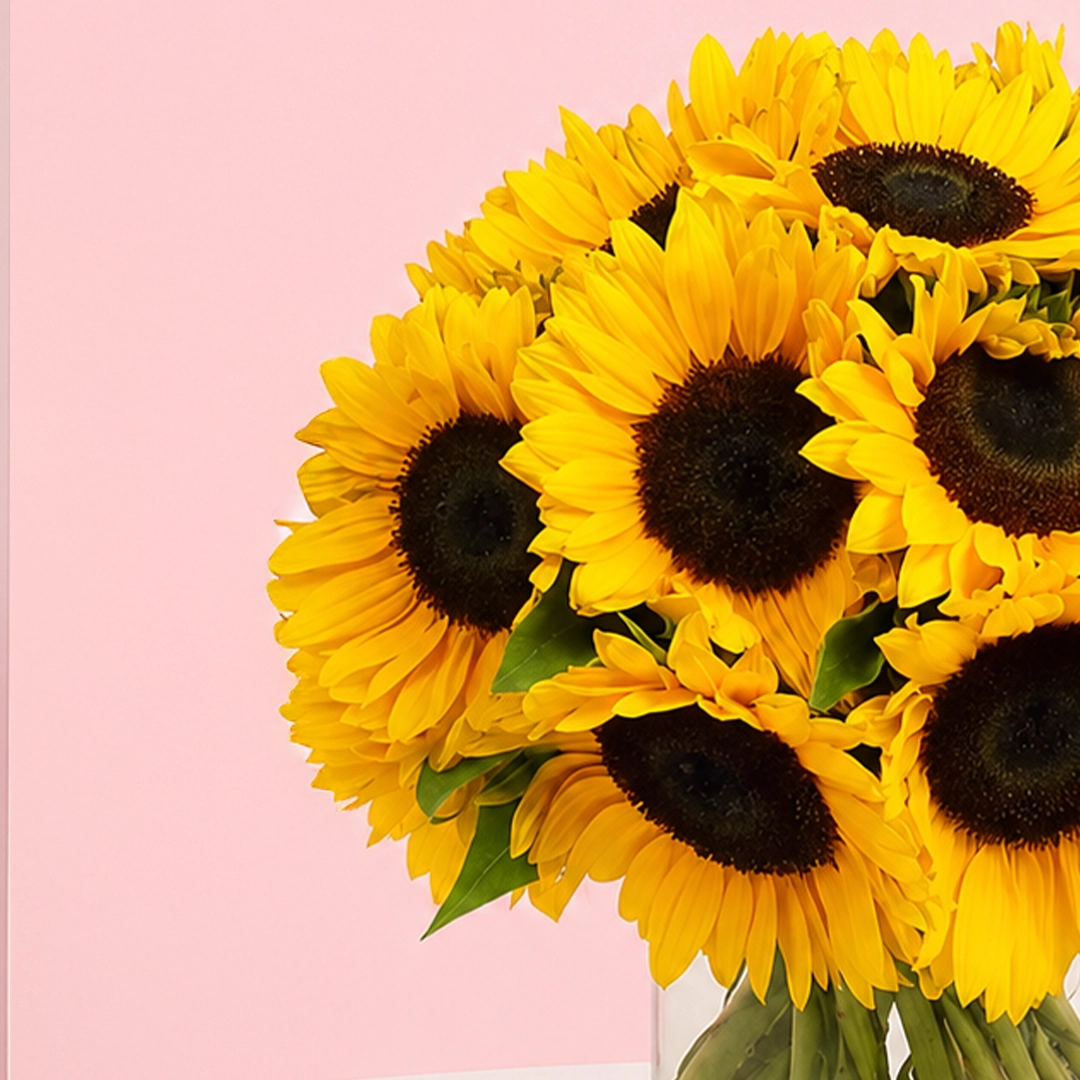 12-sunflower-in-vase_2026_02