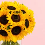 12-sunflower-in-vase_2026_03