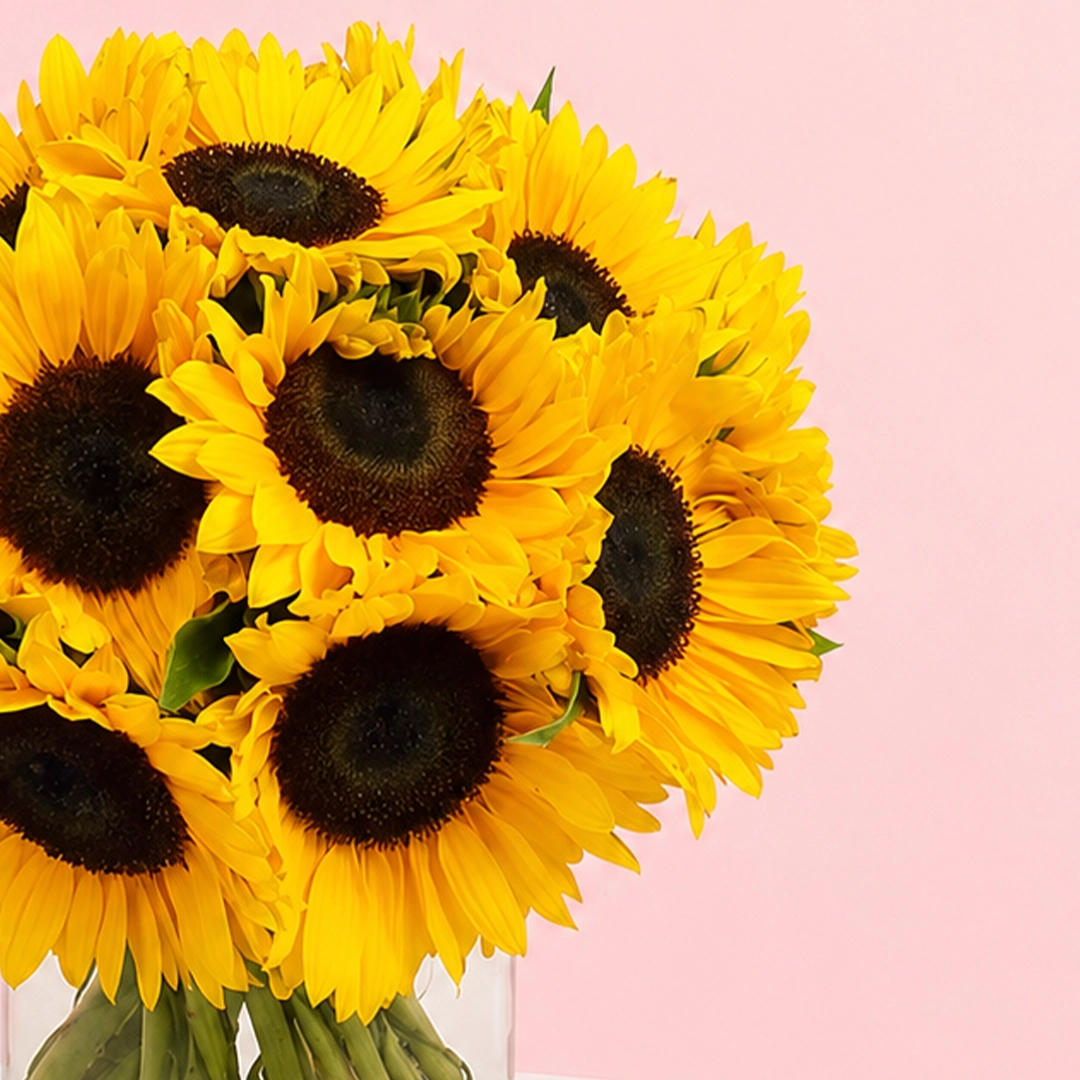 12-sunflower-in-vase_2026_03