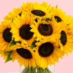 12-sunflower-in-vase_2026_04
