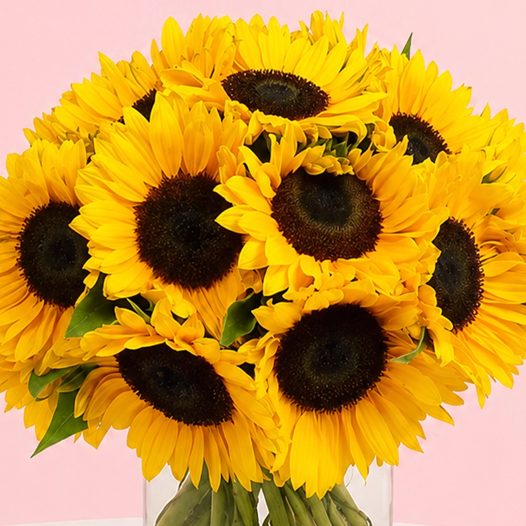 12-sunflower-in-vase_2026_04