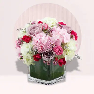 order hydrangea flower online