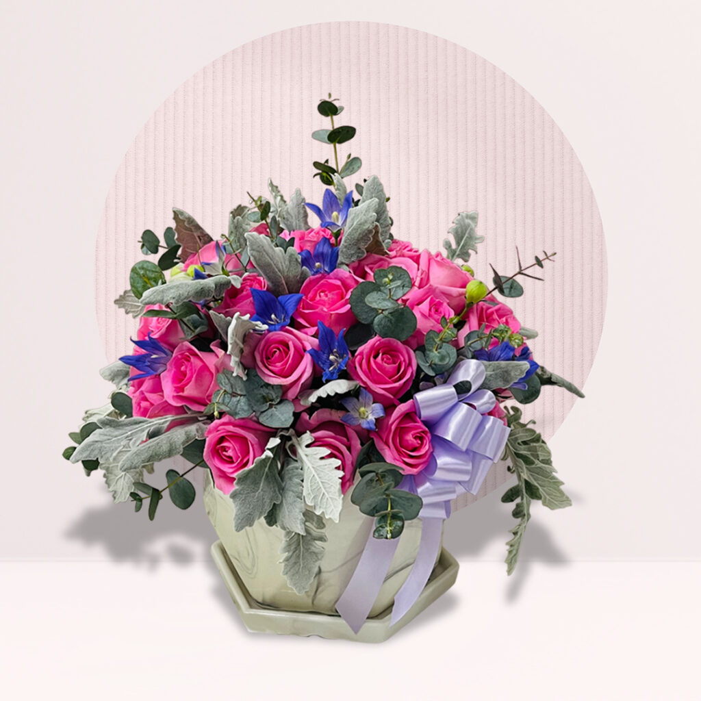 Hot Pink Roses Medley