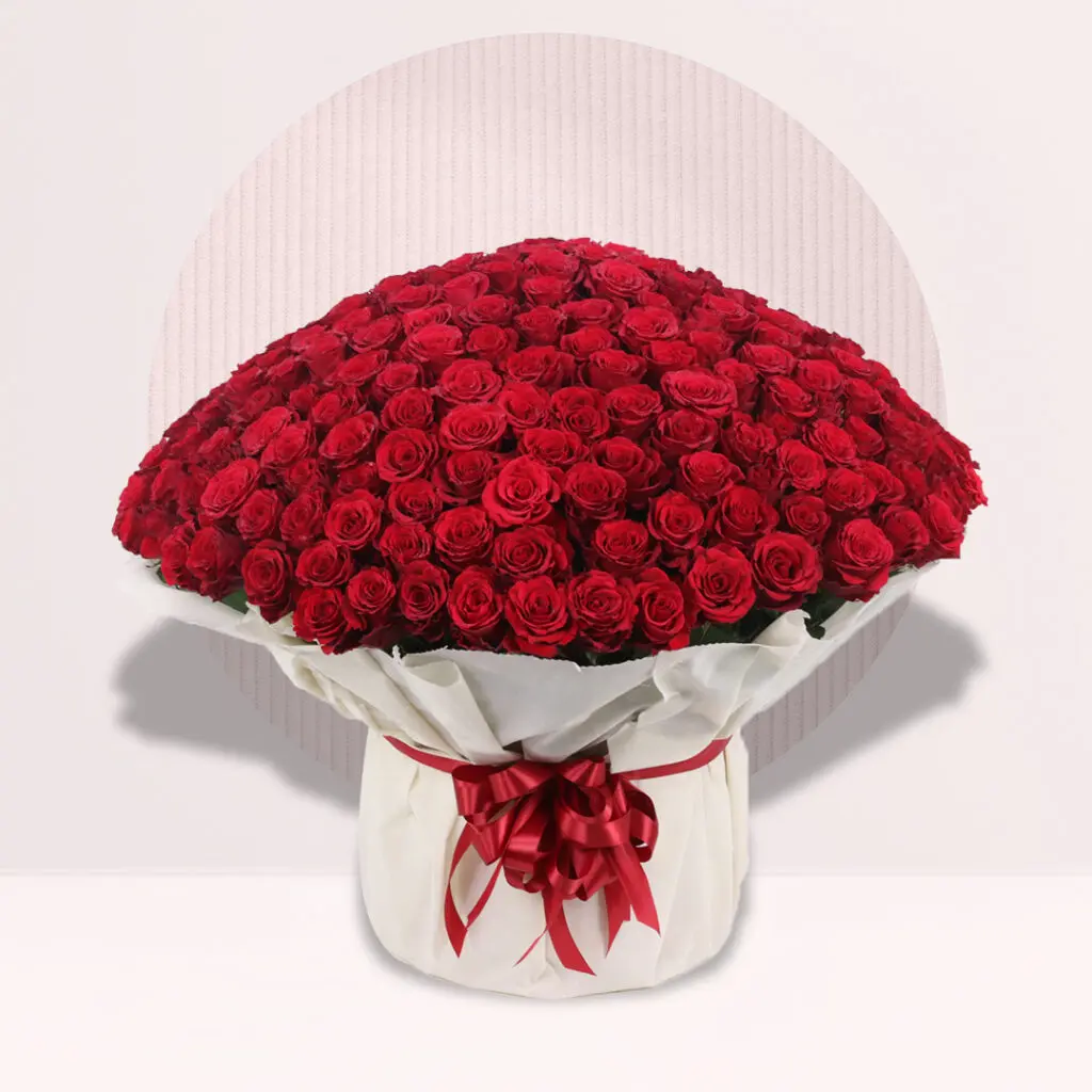 Exquisite 500 Roses Bouquet
