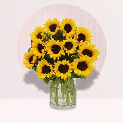 18 Sunflower in Vase