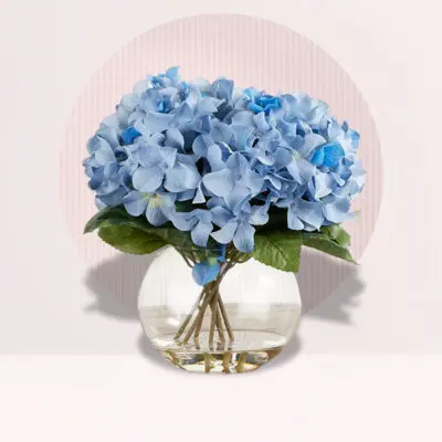Light Blue Hydrangea in Fish Bowl