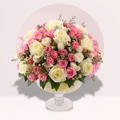 Elegance Roses