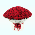 Bouquet of 500 Roses
