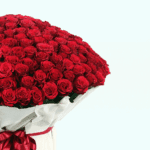 Bouquet of 500 Roses (2)