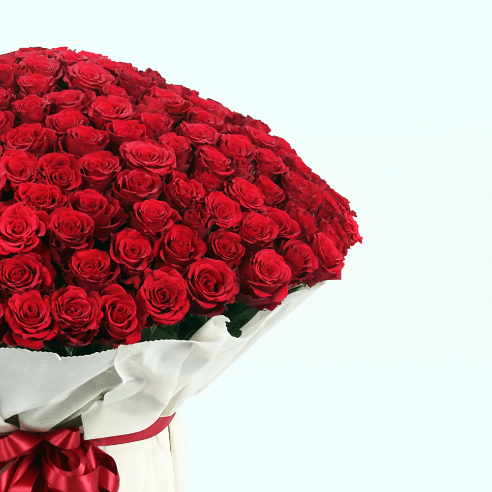 Bouquet of 500 Roses (2) Bouquet of 500 Roses