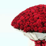 Bouquet of 500 Roses (3)