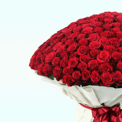 Bouquet of 500 Roses