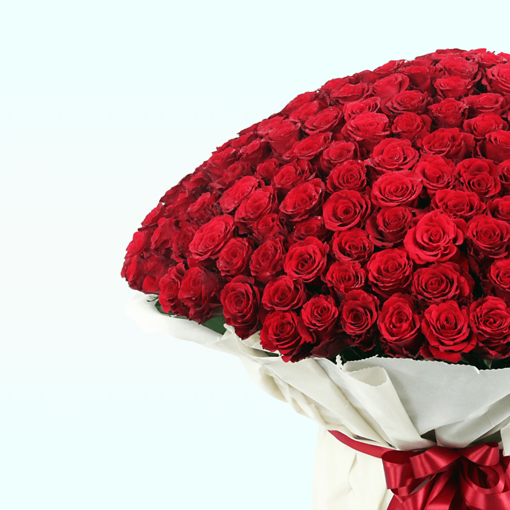 Bouquet of 500 Roses (3) Bouquet of 500 Roses