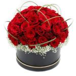 Box of Red Roses with Steel Grass