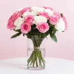 Lovely Pink and White Roses-01