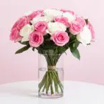Lovely Pink and White Roses-01