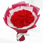 Red carnation flower bouquet.