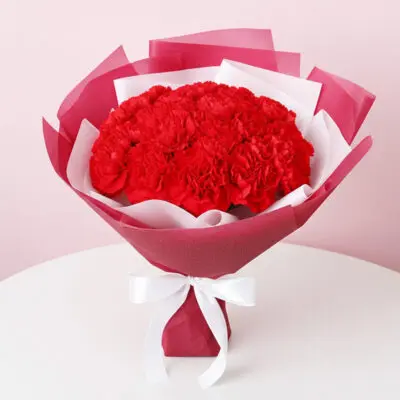 A bouquet of vibrant red carnations tied with a delicate white ribbon.