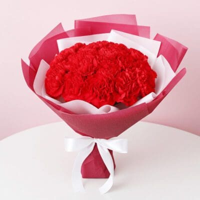A bouquet of vibrant red carnations tied with a delicate white ribbon.