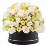 Signature Box of White and Green Roses