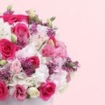 box-of-blooms-2026_03