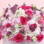 box-of-blooms-2026_04