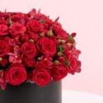 box-of-red-roses-2026_03