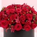 box-of-red-roses-2026_04