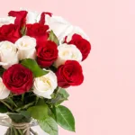 lovely-red-and-white-roses_2026_03