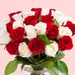 lovely-red-and-white-roses_2026_04