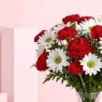 surprise-to-the-lady-love-2026_02