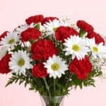 surprise-to-the-lady-love-2026_04