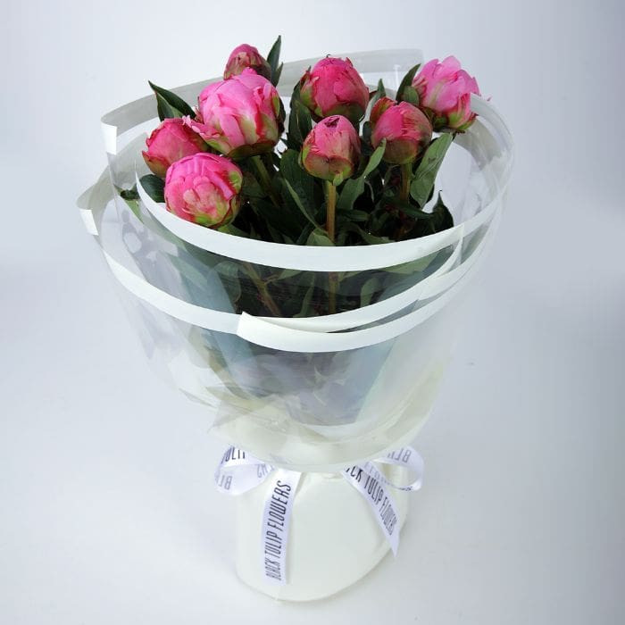 appealing_pink_peonies_7_ (1)