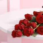 valentine-red-roses-12-stems-2026_02