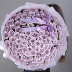 100 stems Purple Roses