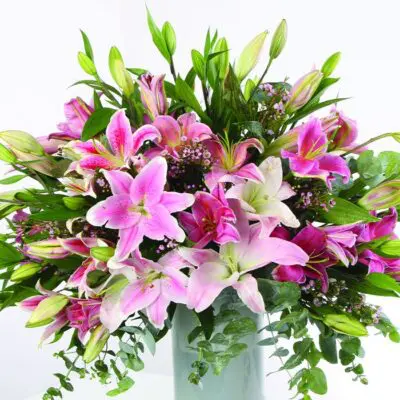 Astounding Lilies by Wenghoa
