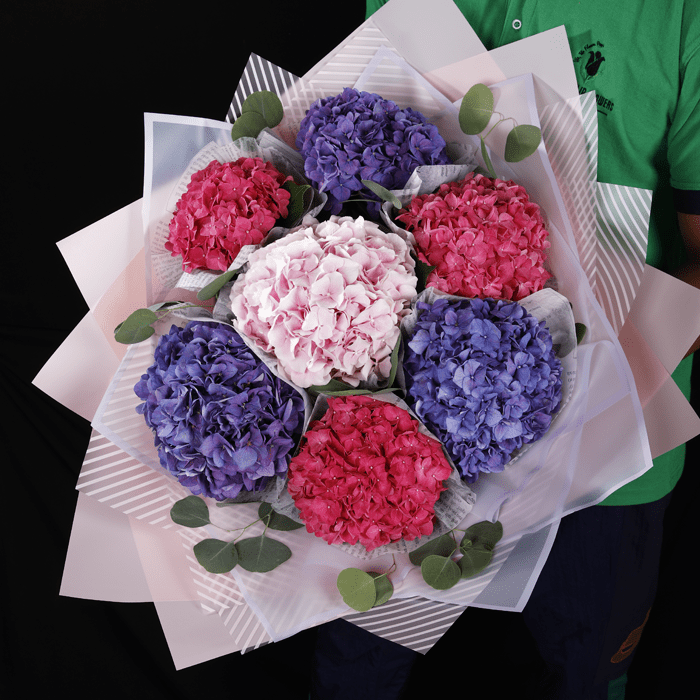 Purple and Pink Hydrangeas (1) Purple and Pink Hydrangeas