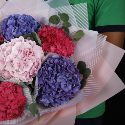 Purple and Pink Hydrangeas