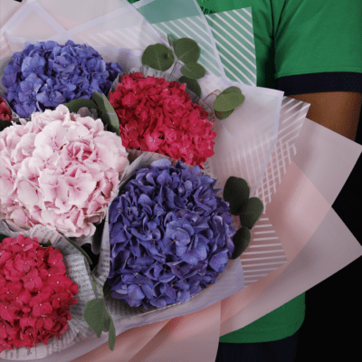 Purple and Pink Hydrangeas