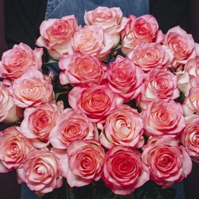 Sentient Rose Bouquet