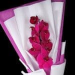 Single Stem Purple Phalaenopsis - Cut Flowers (1)