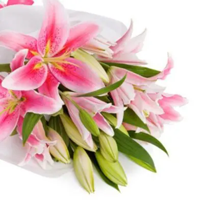 Treasured Pink Lilies Bouquet