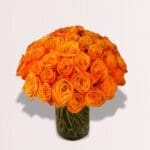 Orange Rose Vase