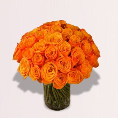 Orange Rose