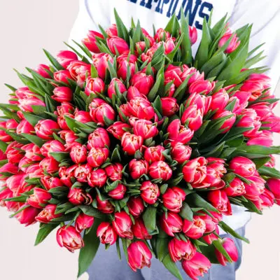 Rare Beauty – Tulips