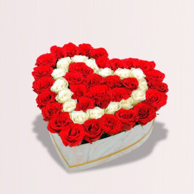 Rose Flowers