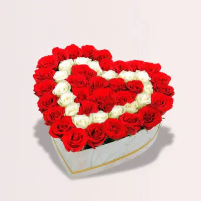 Rose Flowers